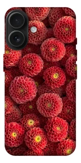 Чохол на Apple iPhone 17 (6.3") Midnight1 фото 1 з 1