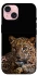 Чехол на Apple iPhone 15 (6.1") Leopard v4 фото 1 из 1