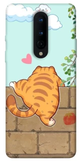 Чохол на OnePlus 8 Cat the meow фото 1 з 1