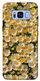 Чохол на Samsung G950 Galaxy S8 Camomile фото 1 з 1