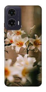 Чохол на Motorola Moto G35 Лілії фото 1 з 1