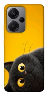 Чохол на Xiaomi Redmi Note 13 Pro+ This is Cat фото 1 з 1