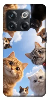 Чехол на OnePlus 10T Cats фото 1 из 1