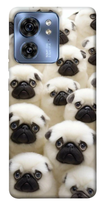 Чохол на Motorola Edge 40 Doggy Pug Love фото 1 з 1