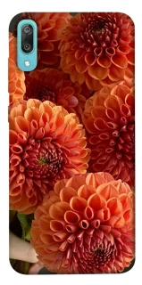 Чохол на Huawei Y6 Pro (2019) Flower1 фото 1 з 1