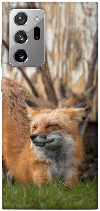 Чохол на Samsung Galaxy Note 20 Ultra Лисиця фото 1 з 1