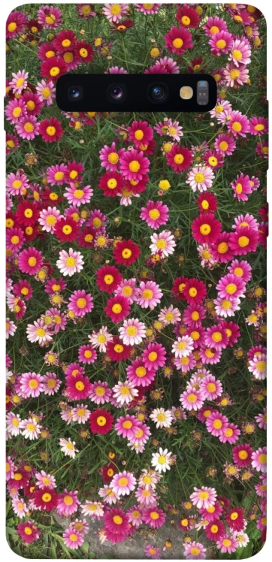 Чохол на Samsung Galaxy S10+ Flowers v8 фото 1 з 1
