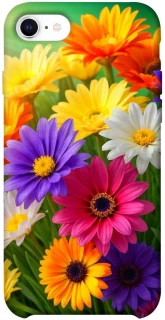 Чохол на Apple iPhone SE (2020) Flowers v32 фото 1 з 1