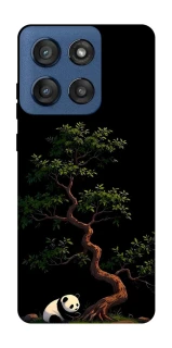 Чохол на Motorola Edge 60 Stylus Panda and tree фото 1 з 1