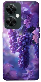 Чехол на OnePlus Nord CE 3 Lite Bunch of grapes фото 1 из 1