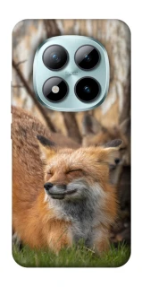 Чехол на Xiaomi Redmi Note 15 Pro+ 5G Лиса фото 1 из 1