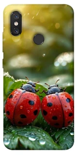 Чохол на Xiaomi Mi 8 Flowers v23 фото 1 з 1