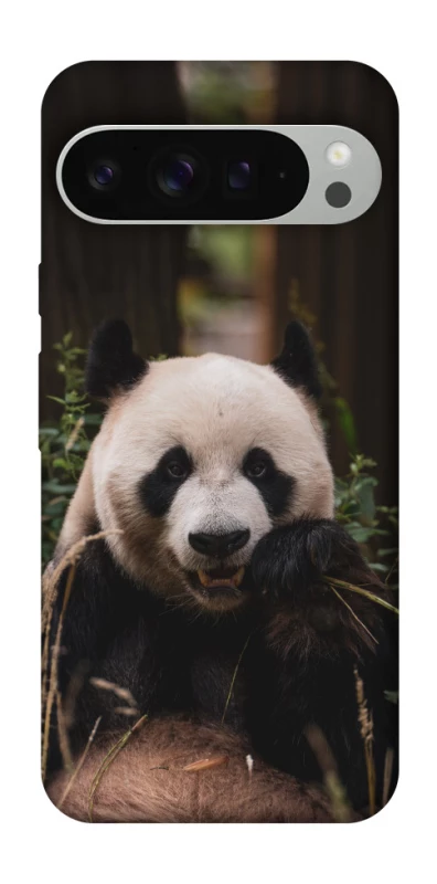 Чехол на Google Pixel 9 Pro XL Панда фото 1 из 1
