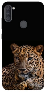Чохол на Samsung Galaxy A11 Leopard v4 фото 1 з 1