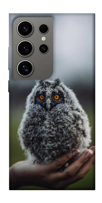 Чехол на Samsung Galaxy S24 Ultra Совёнок фото 1 из 1