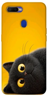 Чохол на Oppo A5s This is Cat фото 1 з 1