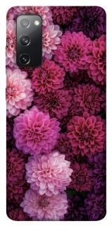 Чехол на Samsung Galaxy S20 FE Garden1 фото 1 из 1