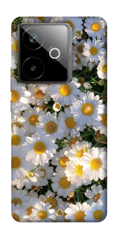 Чехол на Realme GT 7T Поле ромашек фото 1 из 1