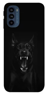 Чохол на Motorola Moto G41 Доберман фото 1 з 1