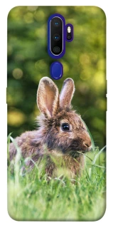 Чехол на Oppo A5 (2020) / Oppo A9 (2020) Кролики фото 1 из 1