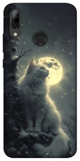 Чехол на Huawei P Smart (2019) Кот под луной фото 1 из 1