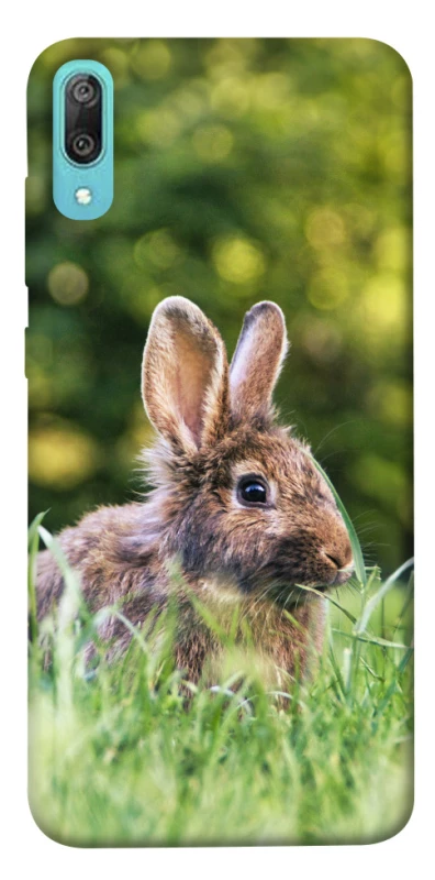 Чехол на Huawei Y6 Pro (2019) Кролики фото 1 из 1