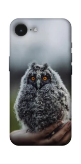 Чехол на Apple iPhone 16e (6.1") Совёнок фото 1 из 1