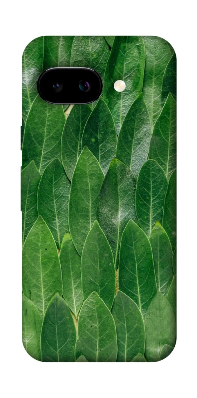 Чехол на Google Pixel 9a Листья фото 1 из 1