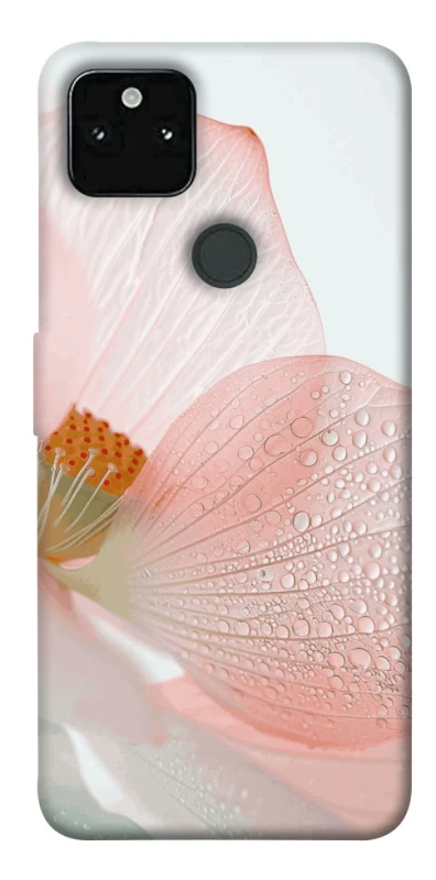 Чехол на Google Pixel 5A Flowers zon фото 1 из 1