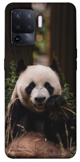 Чехол на Oppo A94 Панда фото 1 из 1