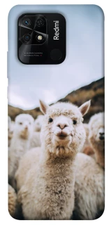 Чохол на Xiaomi Redmi 10C Лама фото 1 з 1