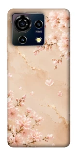 Чехол на ZTE Blade V50 Vita Sakura ver.2 фото 1 из 1