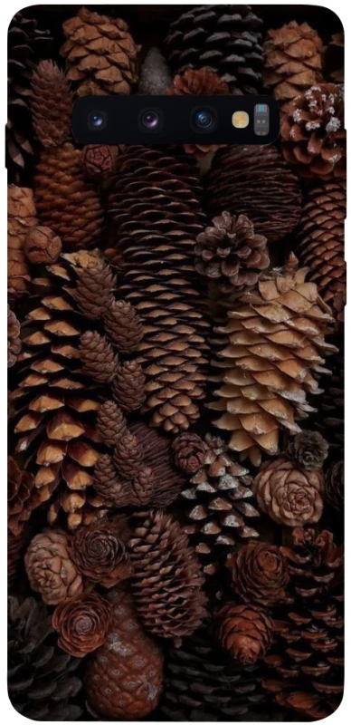 Чохол на Samsung Galaxy S10+ Magic1 фото 1 з 1