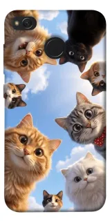 Чехол на Xiaomi Redmi 4X Cats фото 1 из 1
