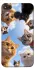 Чехол на Xiaomi Redmi 4X Cats фото 1 из 1