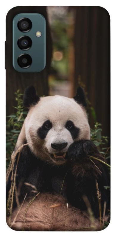 Чехол на Samsung Galaxy M13 4G Панда фото 1 из 1