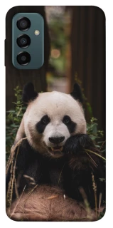 Чехол на Samsung Galaxy M13 4G Панда фото 1 из 1