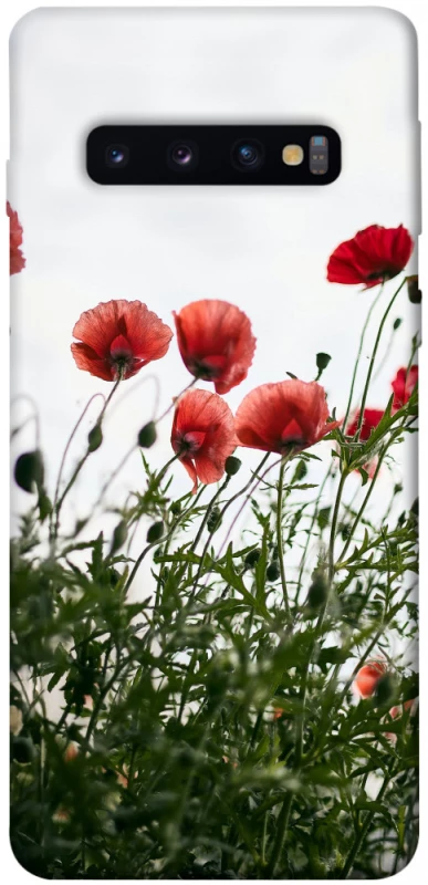 Чехол на Samsung Galaxy S10 Поле маков фото 1 из 1