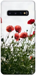 Чехол на Samsung Galaxy S10 Поле маков фото 1 из 1