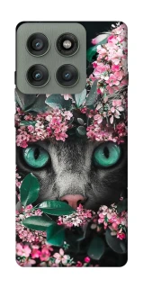 Чохол на Motorola Edge 60 Pro Кіт в квітах фото 1 з 1