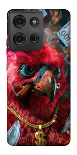 Чохол на Motorola Moto G75 Папуга фото 1 з 1