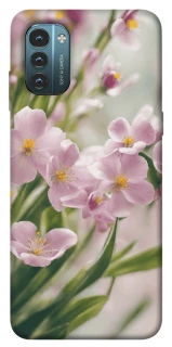 Чехол на Nokia G21 Spring фото 1 из 1