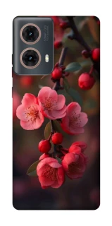 Чохол на Motorola Moto G85 Flowers v28 фото 1 з 1