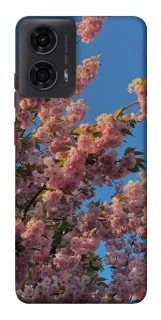 Чохол на Motorola Moto G24 Flowers v4 фото 1 з 1