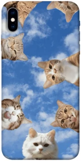 Чохол на Apple iPhone X (5.8") Сats фото 1 з 1