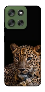 Чехол на Motorola Moto G56 5G Leopard v4 фото 1 из 1