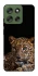 Чохол на Motorola Moto G56 5G Leopard v4 фото 1 з 1