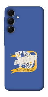 Чехол на Samsung Galaxy A17 4G/5G Ласточка фото 1 из 1