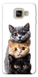 Чохол на Samsung A520 Galaxy A5 (2017) Гарні котики фото 1 з 1