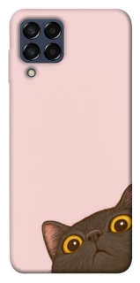 Чохол на Samsung Galaxy M33 5G Peeping cat фото 1 з 1